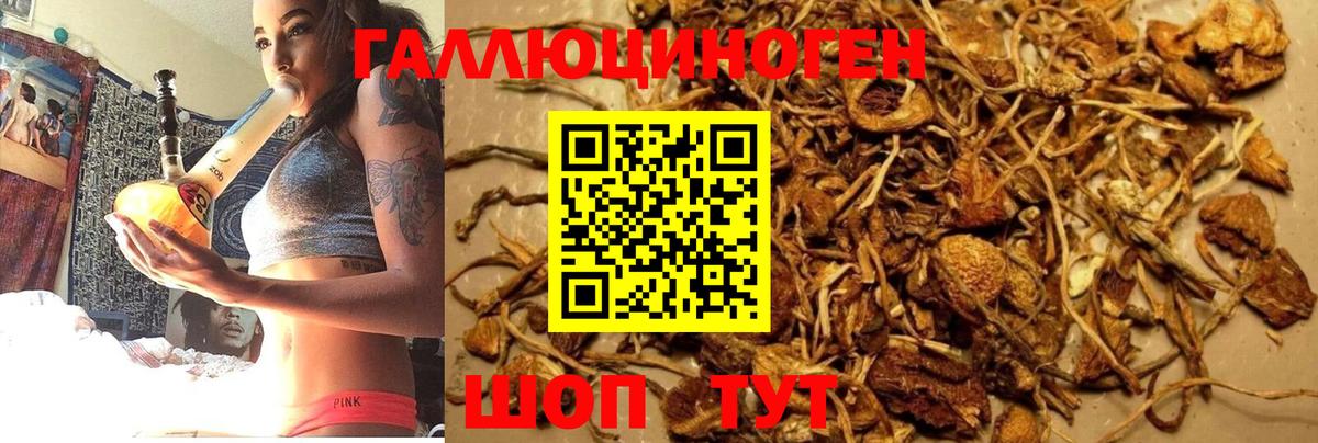 как найти закладки  Псилоцибиновые грибы Magic Shrooms  Вход с VPN  Медногорск 